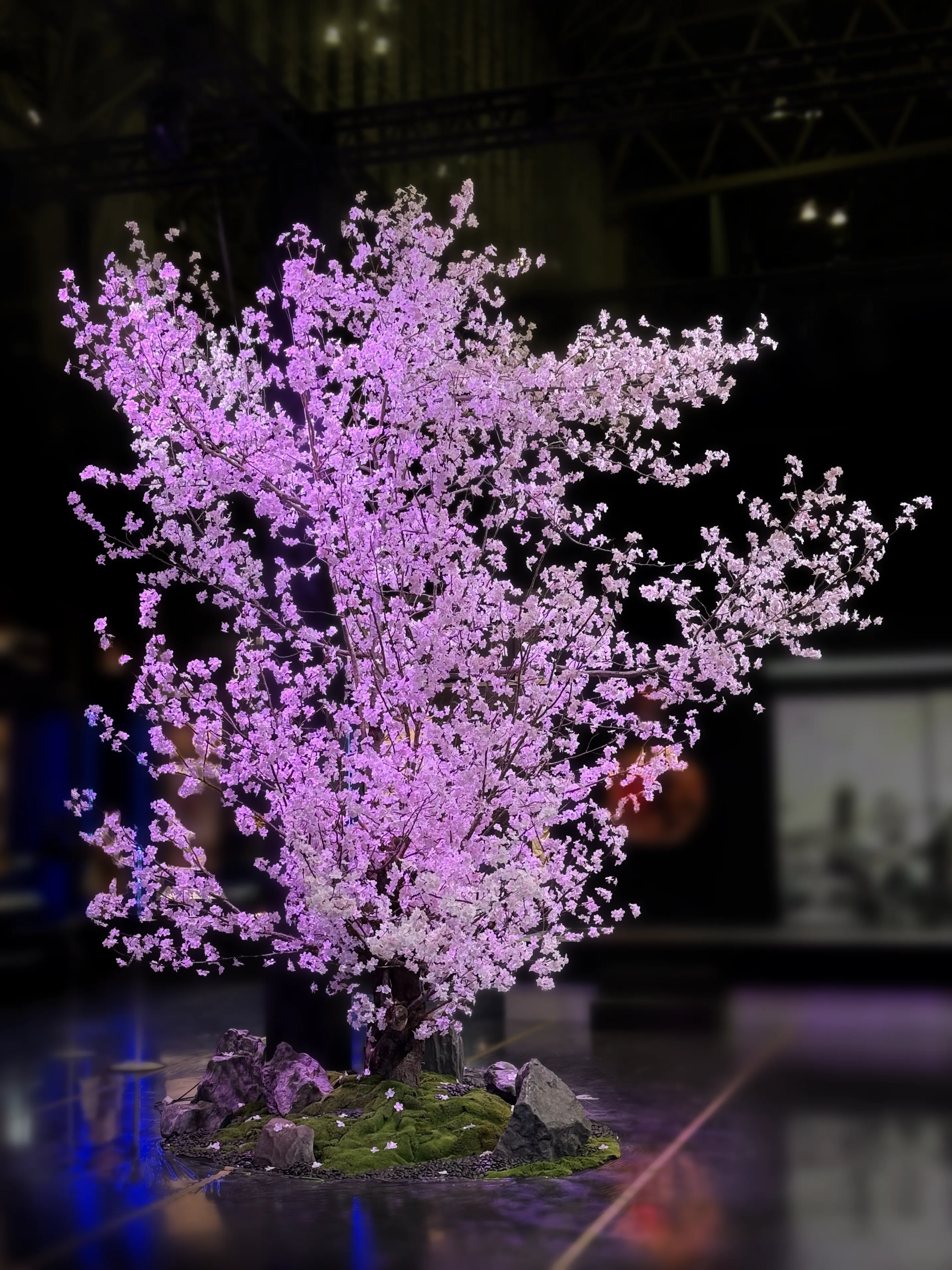 大型桜装飾による春のシーズンデコレーション