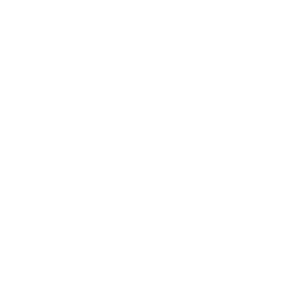 x logo